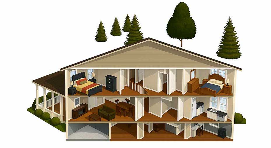 3D Cutaway View
